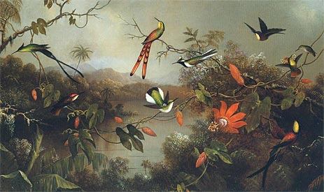 Martin Johnson Heade Tropical Landscape with Ten Hummingbirds 1870